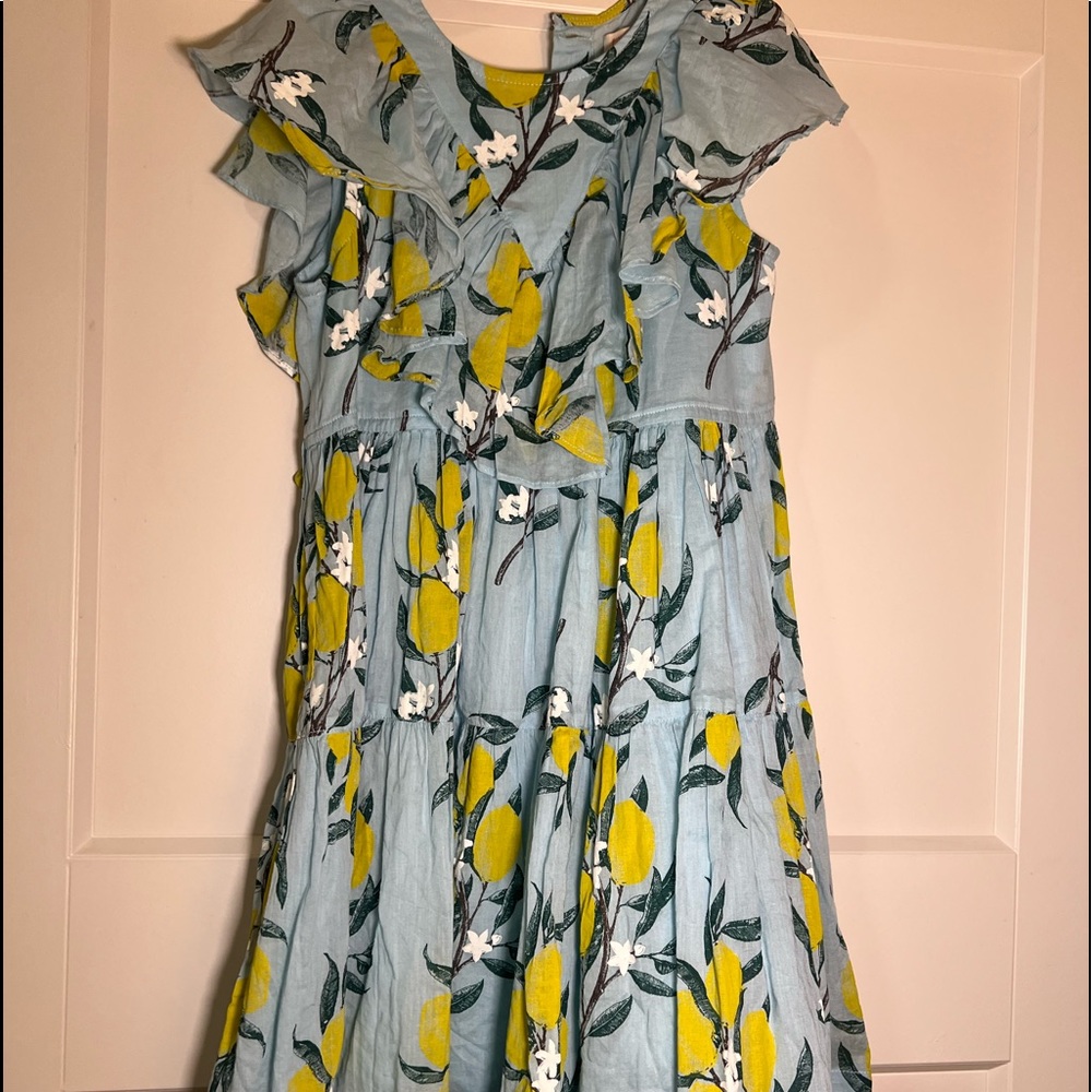 Pink chicken Lemon dress 5y
